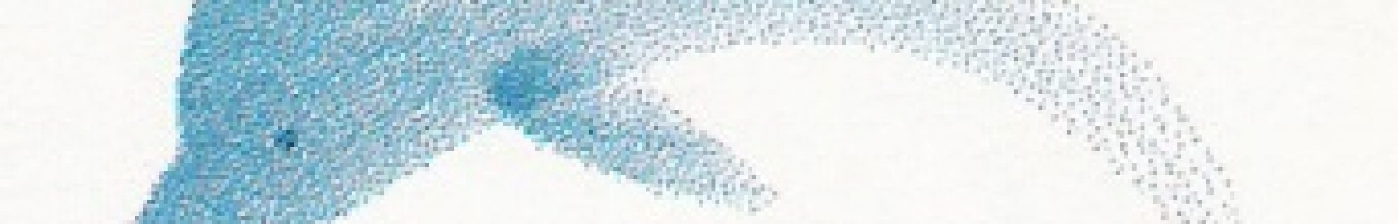 KenT the Author's Ravings